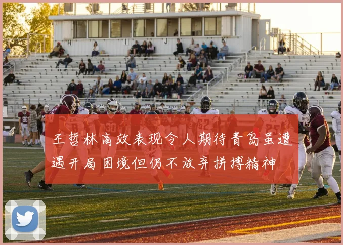 王哲林高效表现令人期待青岛虽遭遇开局困境但仍不放弃拼搏精神