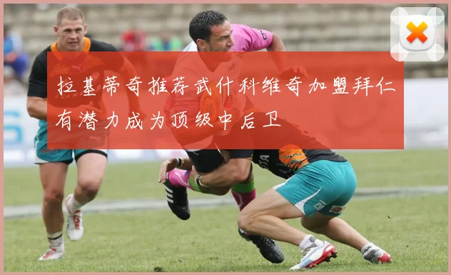拉基蒂奇推荐武什科维奇加盟拜仁有潜力成为顶级中后卫